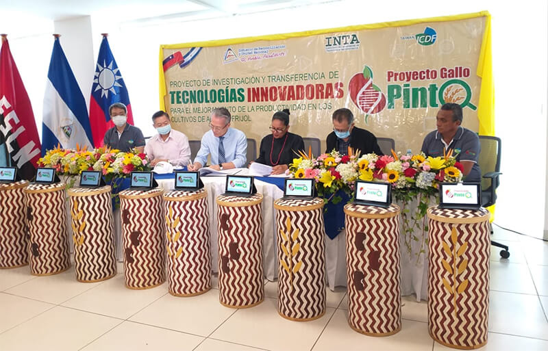 inta-taiwan-proyecto-arroz-frijol-